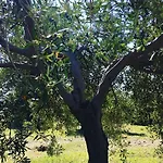 Goeknar Knidos Oasis Nature 3* Datça