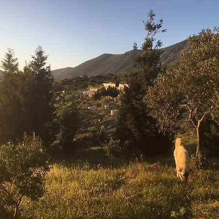 ホテル Goeknar Knidos Oasis Nature ダッチャ