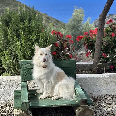 ホテル Goeknar Knidos Oasis Nature 3*