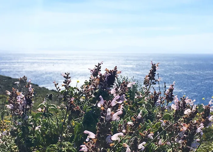 Goeknar Knidos Oasis Nature Hotel