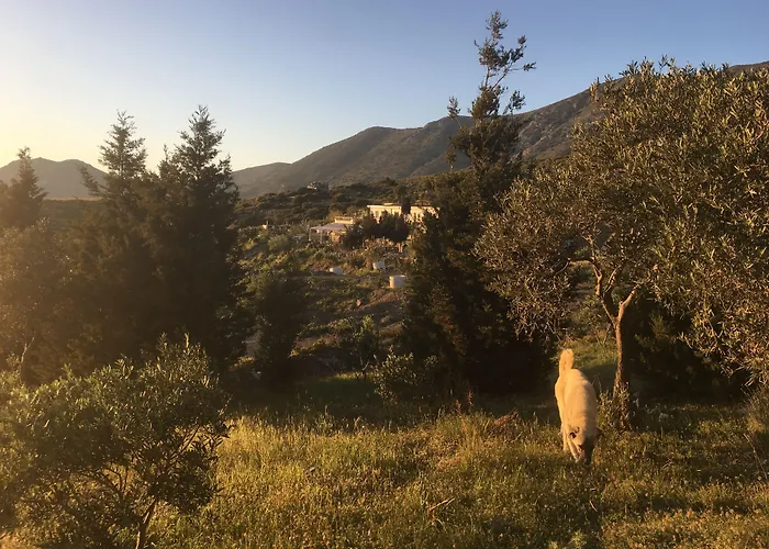 Hotel Goeknar Knidos Oasis Nature Datça