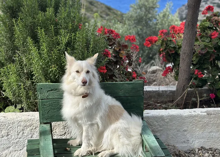 Hotel Goeknar Knidos Oasis Nature 3*